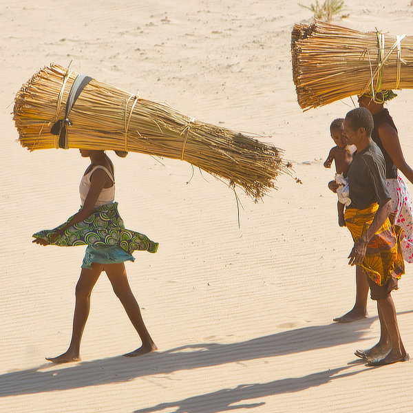 Madagascar by David Cayless